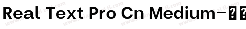 Real Text Pro Cn Medium字体转换